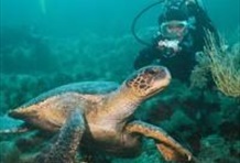 Scuba Diving Isla de la Plata Tour